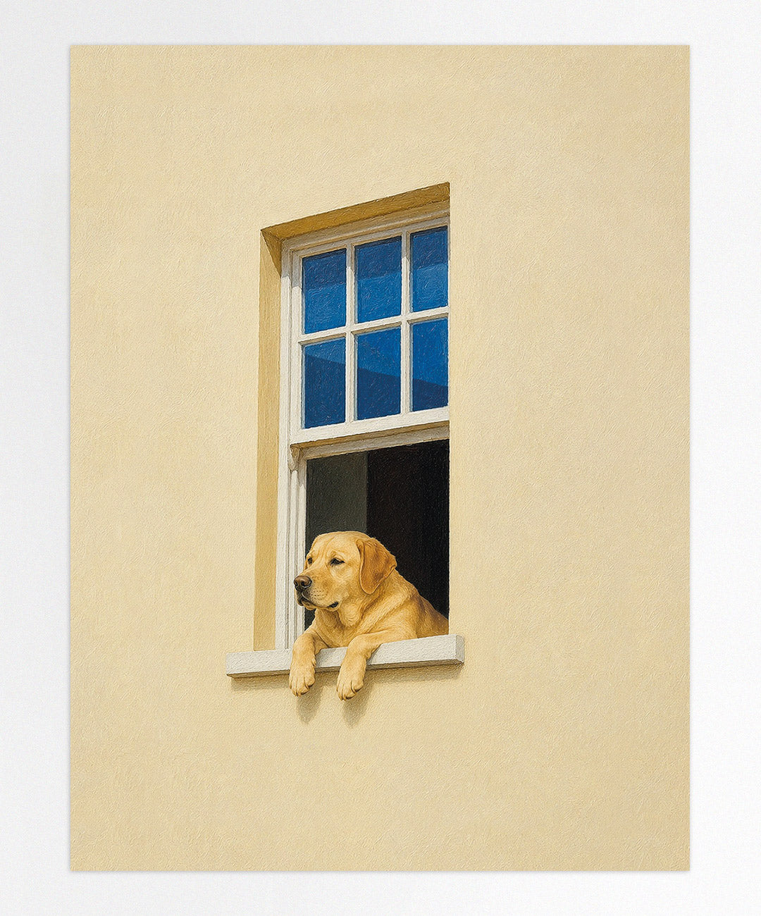 Living Window